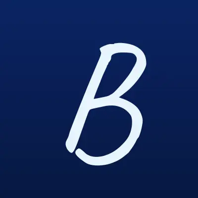 Bizon, аутсорсинговая компания, лого-визитка