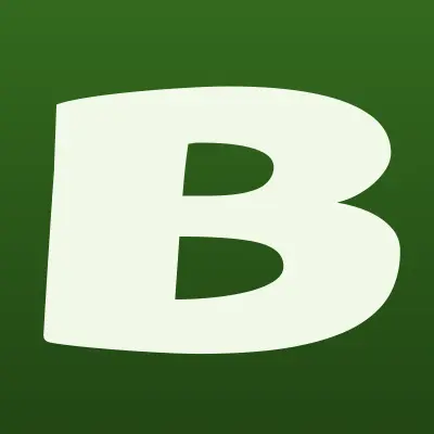 Bonjour & СТИЛЬ Professional, сеть магазинов парфюмерии, косметики и бытовой химии, лого-визитка