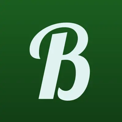 Boplast, магазин, лого-визитка