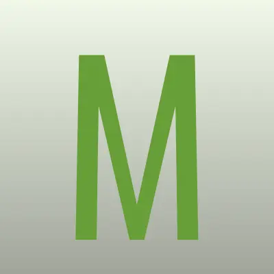 Магсервис, лого-визитка