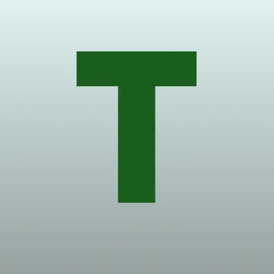Твой Мастер